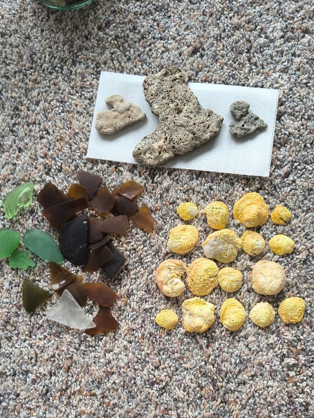 Seaglass & Shell Display